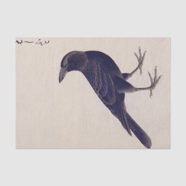 Vintage illustration: Jungle crow Tissue Paper (Front)