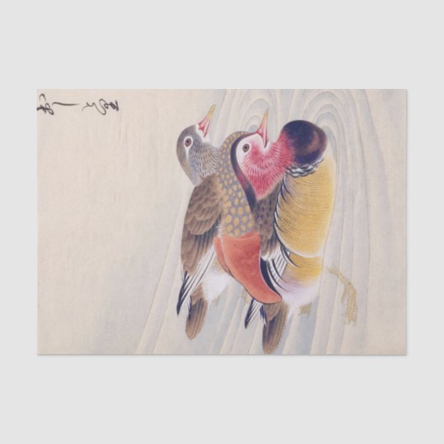Vintage illustration: Mandarin duck Tissue Paper (Front)
