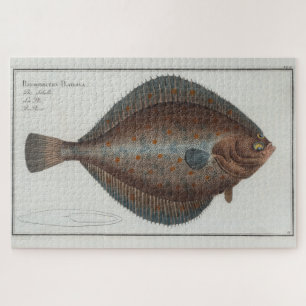 Vintage Illustration of a Flounder Fish (1785) Jigsaw Puzzle