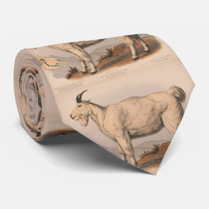 Vintage Illustration of a Goat (1874) Tie