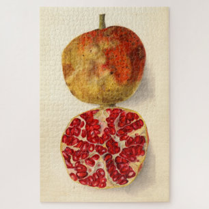 Vintage Illustration of a Pomegranate Jigsaw Puzzle