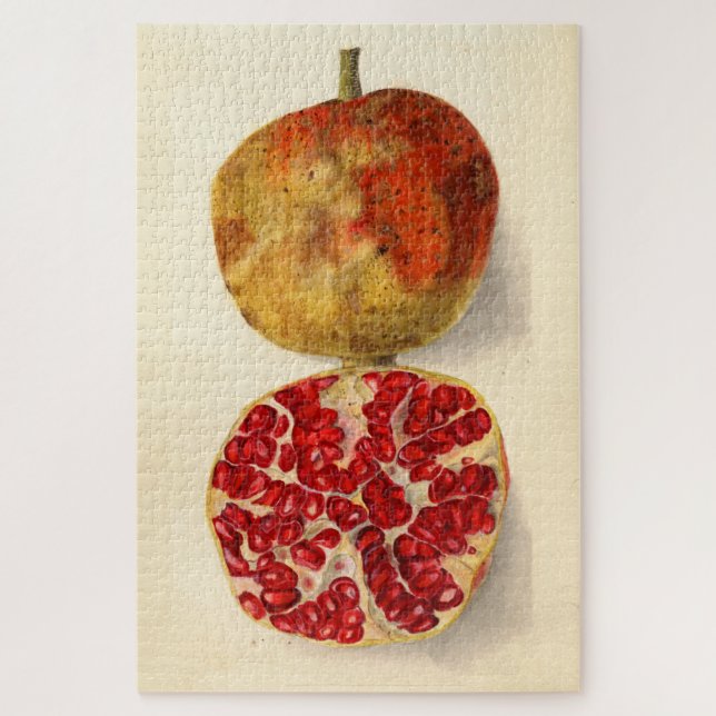Vintage Illustration of a Pomegranate Jigsaw Puzzle (Vertical)