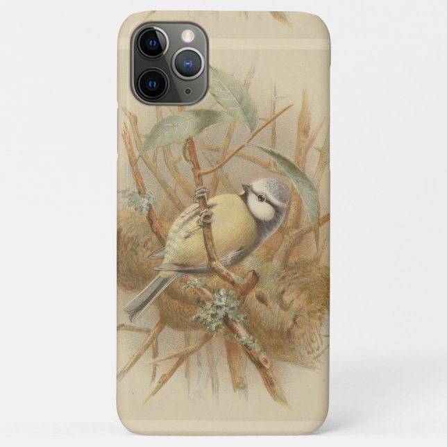 Vintage Illustration of Bluetit Case-Mate iPhone Case (Back)