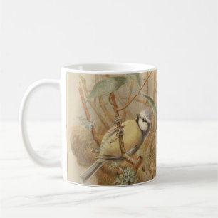 Vintage Illustration of Bluetit Coffee Mug
