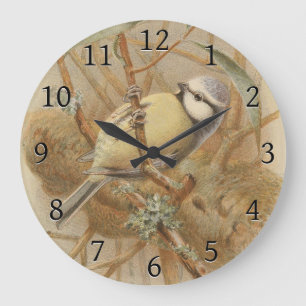 Vintage Illustration of Bluetit Large Clock