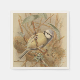Vintage Illustration of Bluetit Napkin
