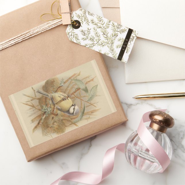 Vintage Illustration of Bluetit Sticker (Gifting)