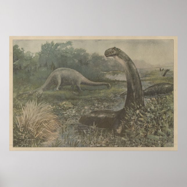 Vintage Illustration of Brachiosaurus Dinosaurs Poster (Front)