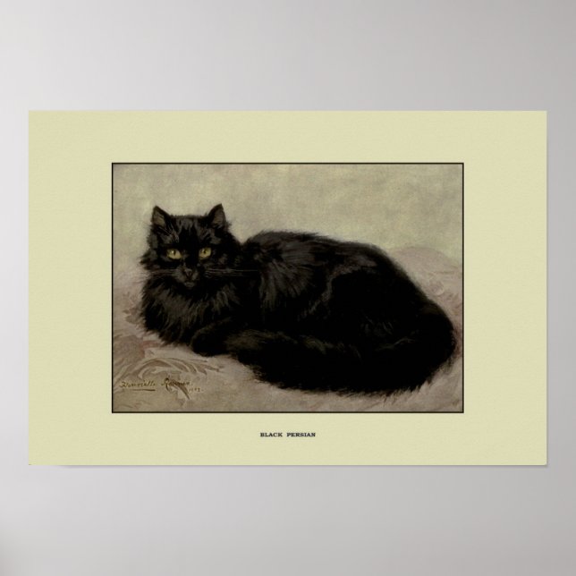 Vintage Illustration of Cats Poster (Front)