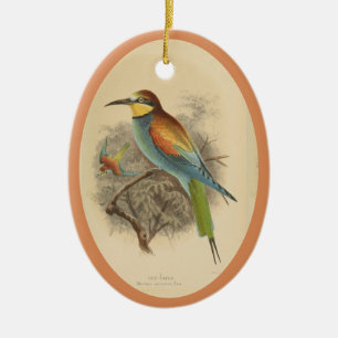 Vintage illustration of European Bee-Eater Ceramic Ornament