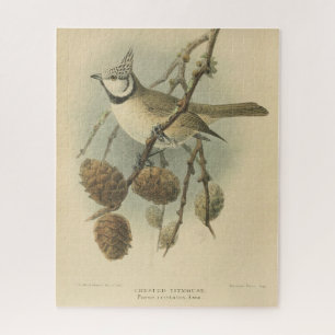 Vintage Illustration of European Crested Tit Jigsaw Puzzle