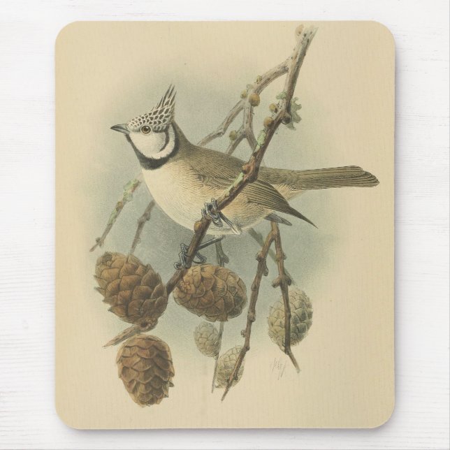 Vintage Illustration of European Crested Tit Mouse Pad (Front)