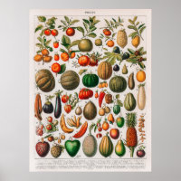 Vintage Illustration of Fruits and Vegetables