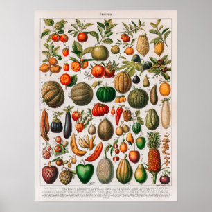 Vintage illustration of fruits and vegetables poster