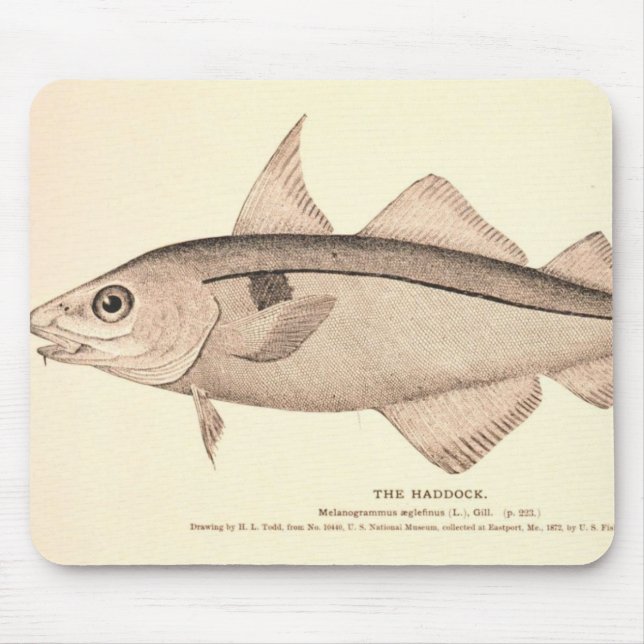 Vintage illustration of Haddock Mouse Pad (Front)