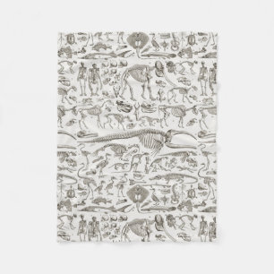 Vintage Illustration of Human & Animal Bones Fleece Blanket