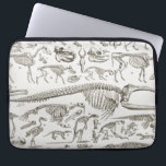 Vintage Illustration of Human & Animal Bones Laptop Sleeve<br><div class="desc">Taken from an antique French Encyclopedia set called "Nouveau Larousse Illustre" published around 1900 in Paris France.</div>