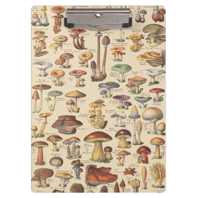 Vintage illustration of mushrooms clipboard (Front)