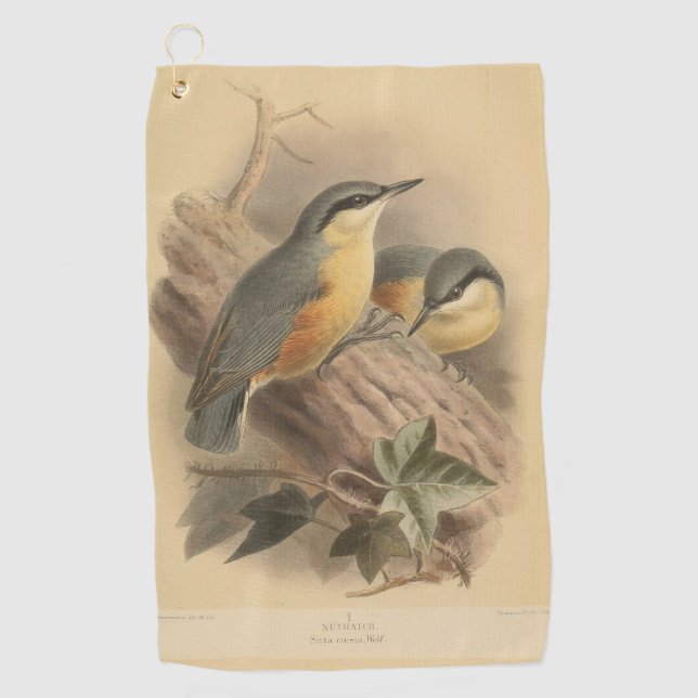 Vintage Illustration of Nuthatch Golf Towel (Front)