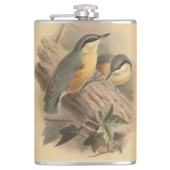 Vintage Illustration of Nuthatch Hip Flask (Front)