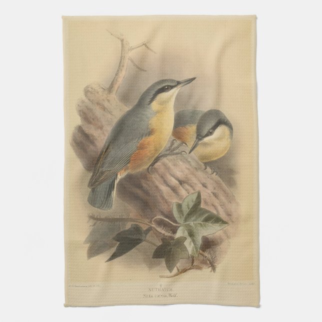 Vintage Illustration of Nuthatch Kitchen Towel (Vertical)