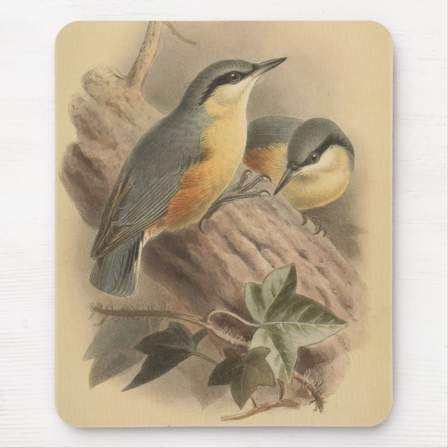 Vintage Illustration of Nuthatch Mouse Pad (Front)