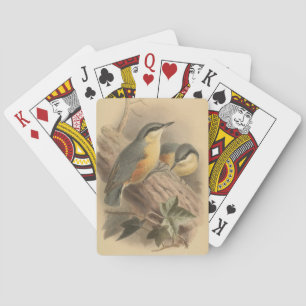 Vintage Illustration of Nuthatch Playing Cards