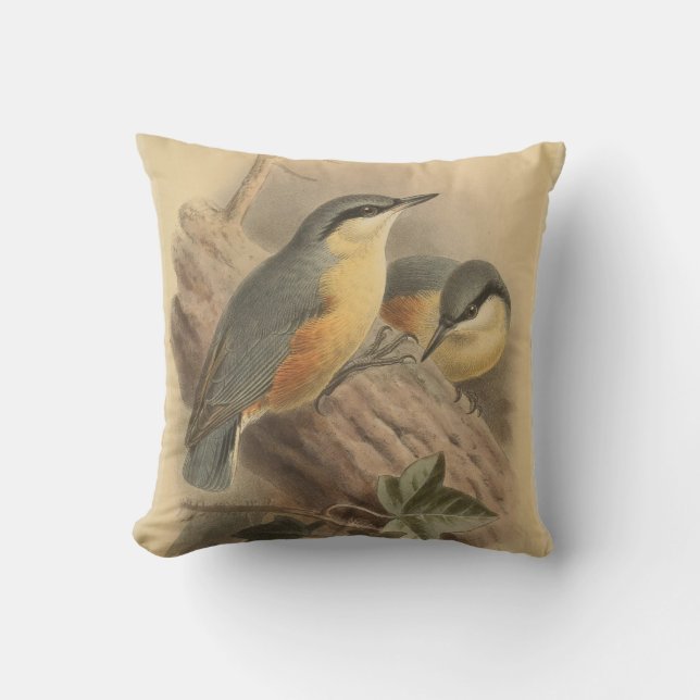 Vintage Illustration of Nuthatch Throw Pillow (Front)