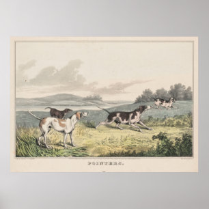 Vintage Illustration of Pointer Dogs (1846) Poster