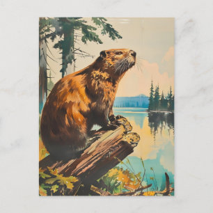 Vintage Illustration of the Beaver Postcard