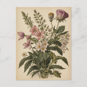 Vintage Illustration of Wildflowers Postcard