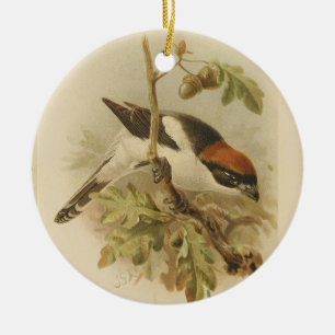 Vintage Illustration of Woodchat Shrike Ceramic Ornament
