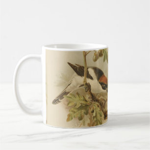 Vintage Illustration of Woodchat Shrike Coffee Mug