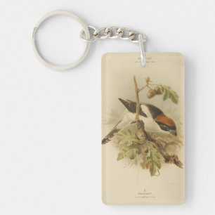 Vintage Illustration of Woodchat Shrike Keychain