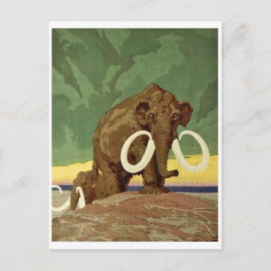 Vintage Illustration Postcard