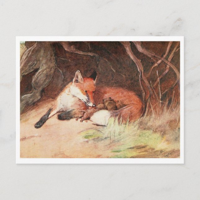 Vintage Illustration Postcard (Front)