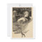 Vintage Illustration Postcard