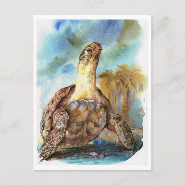 Vintage Illustration Postcard (Front)