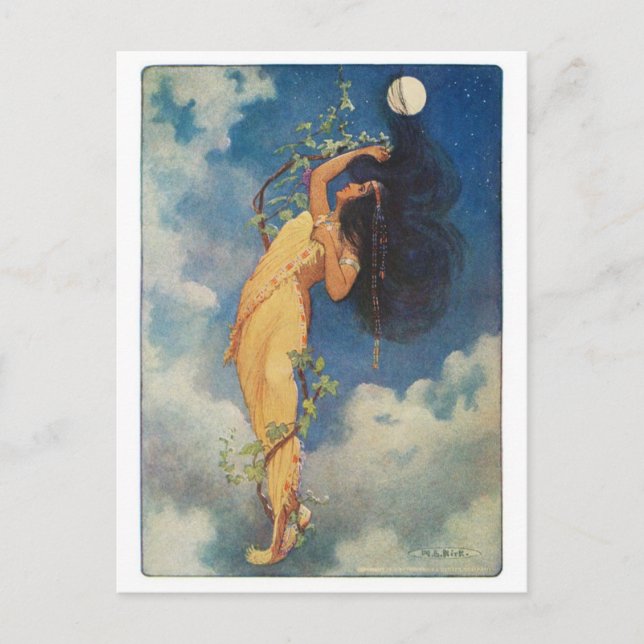 Vintage Illustration Postcard (Front)