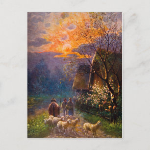 Vintage Illustration, Sheep Herding At Night Postcard