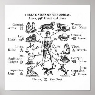 Vintage Illustration Twelve Signs of the Zodiac