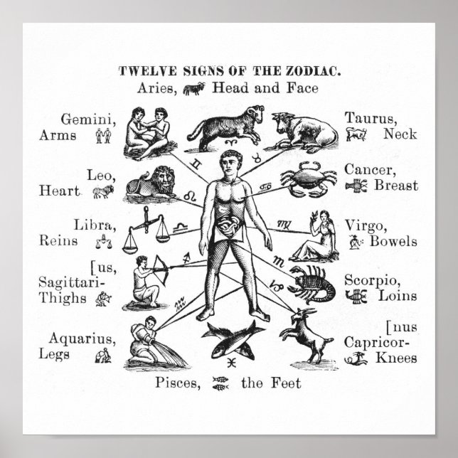 Vintage Illustration Twelve Signs of the Zodiac (Front)