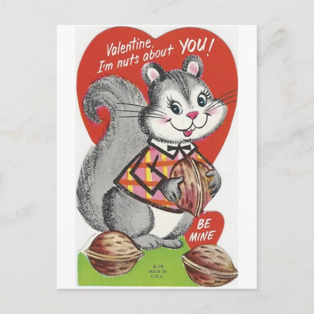 Vintage "I'm Nuts About You" Valentine Holiday Postcard (Front)
