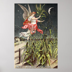 Vintage Image From 1886 Seed Catalogue Poster