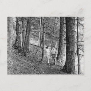 Vintage Imp Lake Hiking Trail, Upper Peninsula Postcard