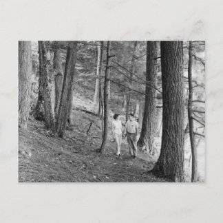 Vintage Imp Lake Hiking Trail, Upper Peninsula Postcard