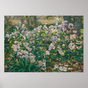 Vintage Impressionist Floral Painting Poster