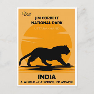 Vintage India Tiger National Park Travel Postcard