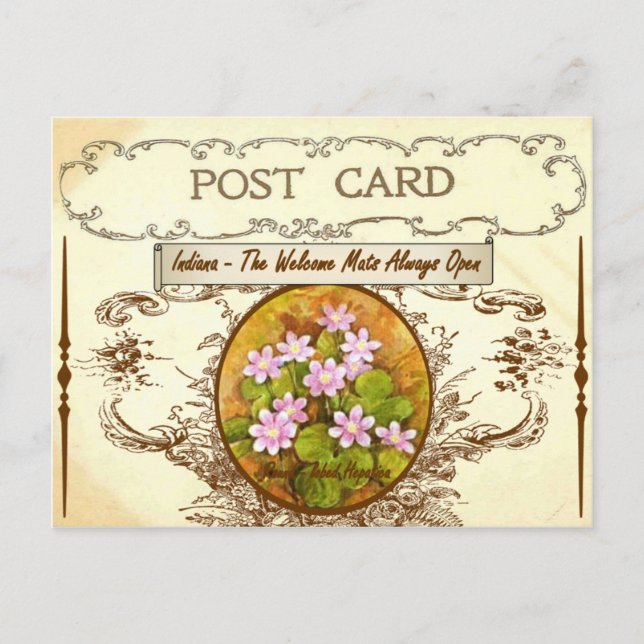 Vintage Indiana State Flower Postcard (Front)