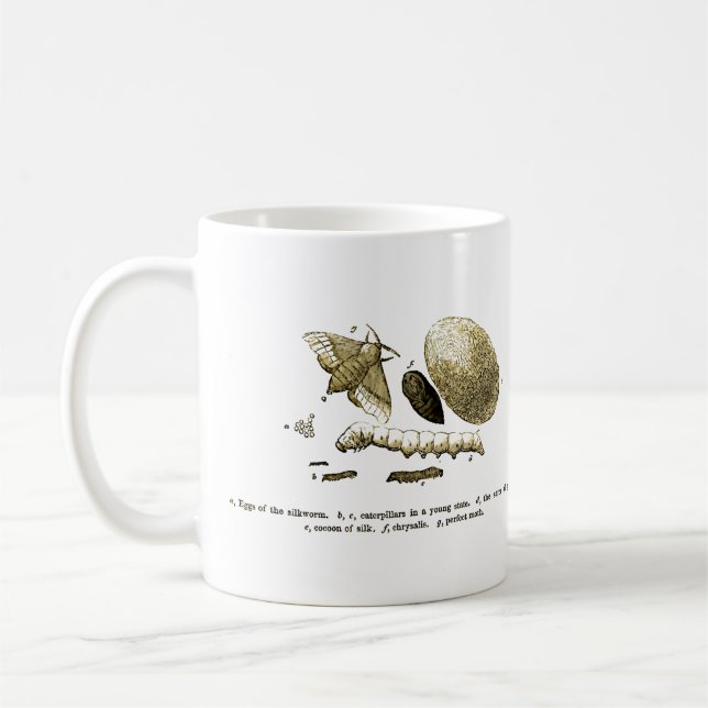 Vintage Insect Image | Silkworm | Moth Coffee Mug (Left)